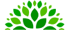norte verde